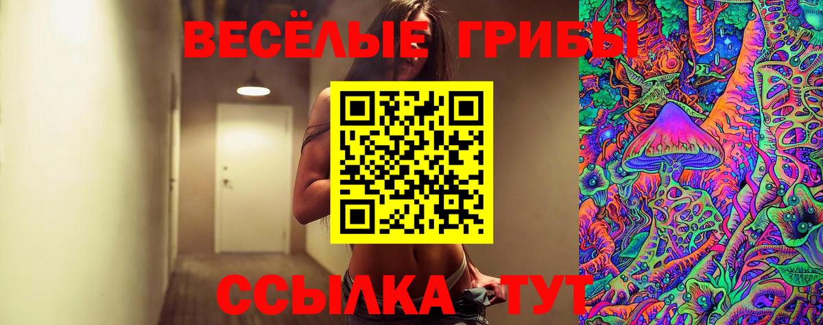 Стерлитамак  Галлюциногенные грибы MAGIC MUSHROOMS  Вход с VPN 