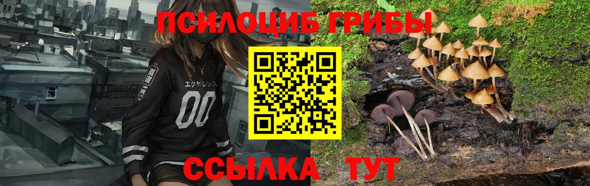 Псилоцибиновые грибы GOLDEN TEACHER Стерлитамак